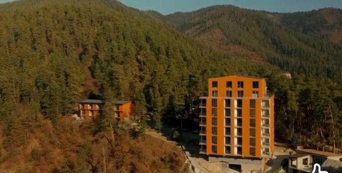 Apartament Natalia