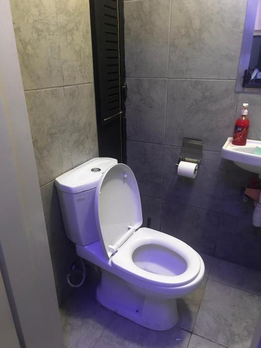 Wayne Suites