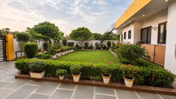 Lime Tree Studio Near Fortis Gurgaon