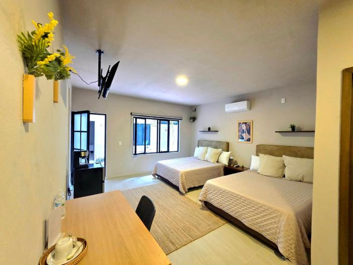 MINERVA LOFTS and SUITES