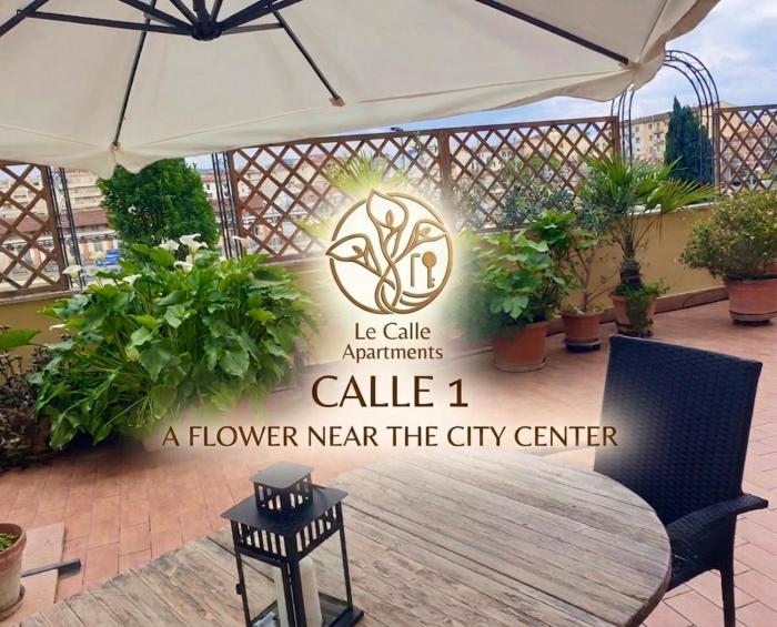 Calle 1 - A flower near the city center