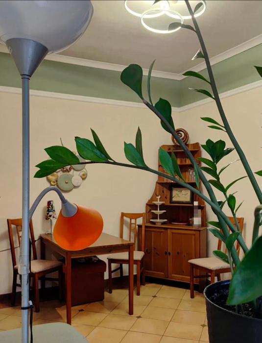 Apartament Plaża Sopot
