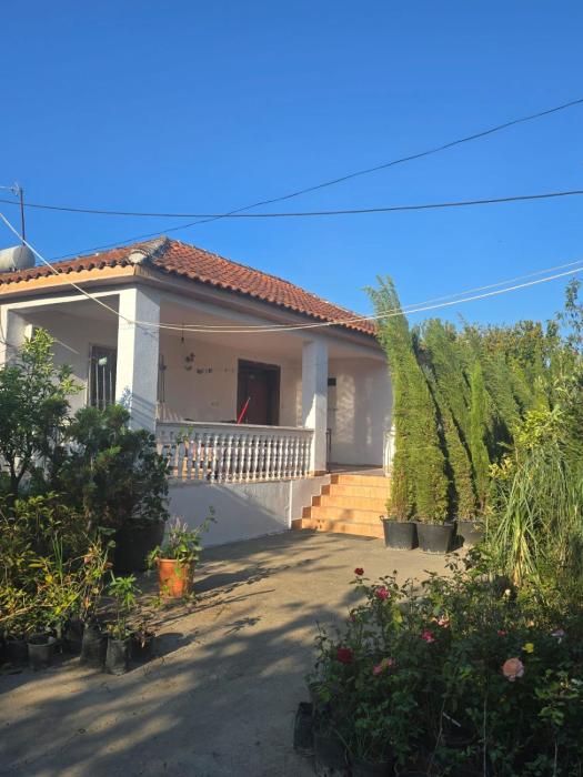 Guesthouse Kosmac
