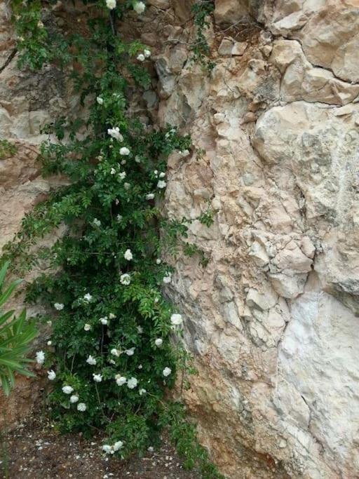 Beautiful views with pool in ibiza- Casa Pedro