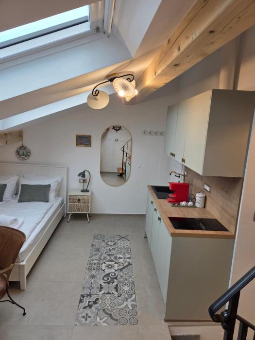 Apartment Terra Navis Izola