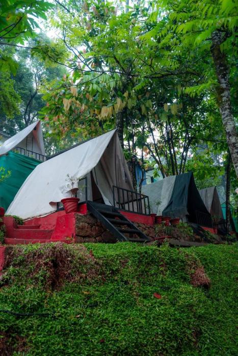 Echo Haven Glamping Tent Munnar