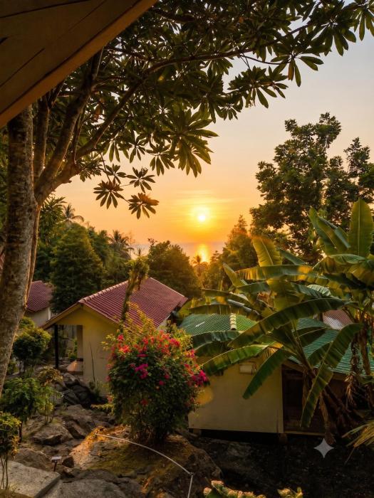 Flow Jungle Residency