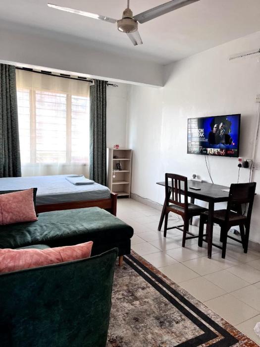 Spacious Studio Apartment