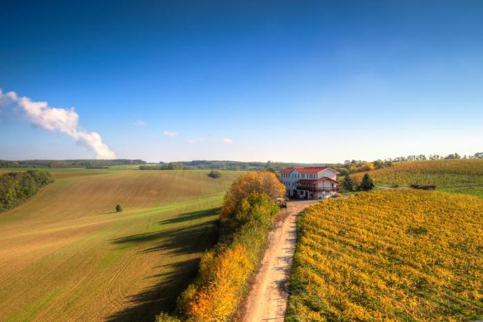 Vinum Vivo winery