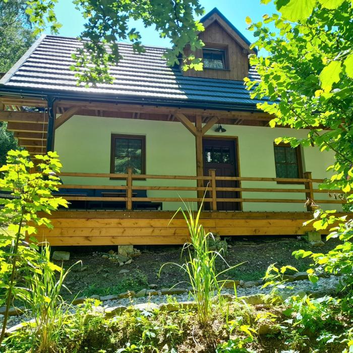 Borówkowa Dolina