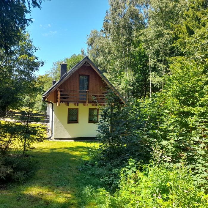 Borówkowa Dolina