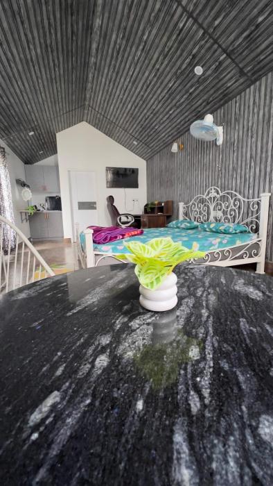Nandora Attic 1RK For Visitors