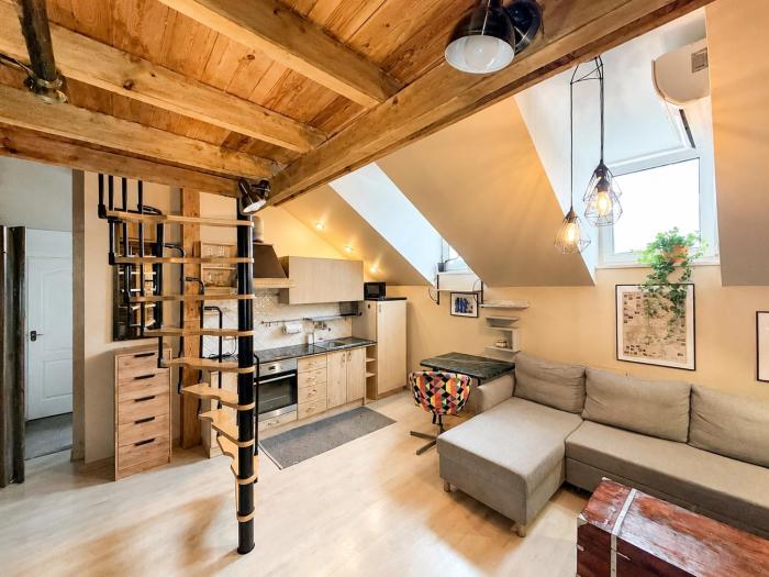 Vilniaus street Center apartment
