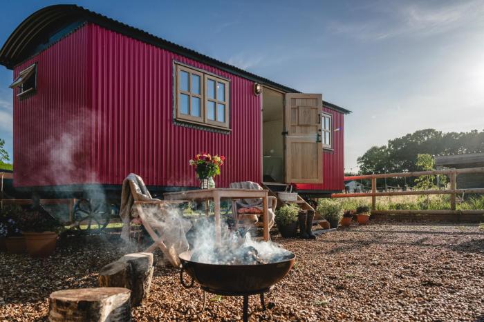 Slowhayes Nature Retreat in the New Forest
