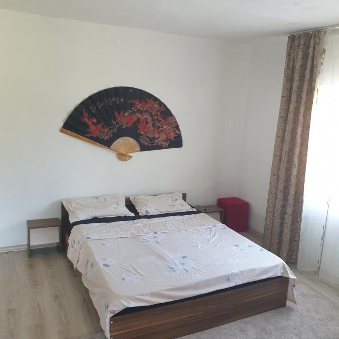 Casa Vlad