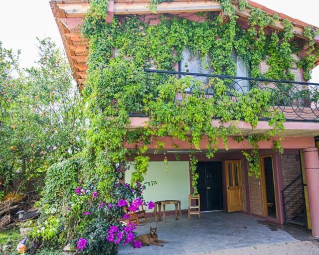 Lovely garden flat with stunning mountain views
