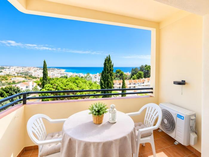 Panoramic View Apartment - 160