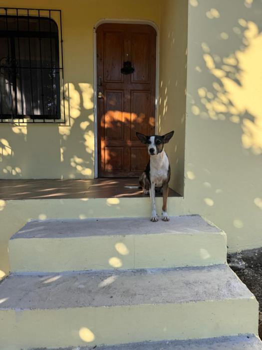 Casa Malu