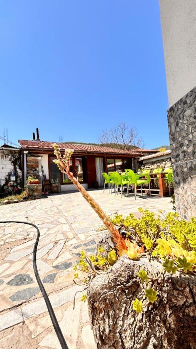 Villa Monika