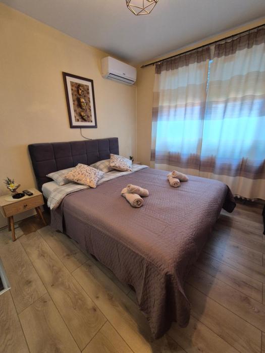 Grey Apartments Zaječar