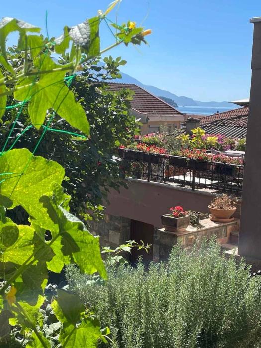 Shenk Central Old Town Stay