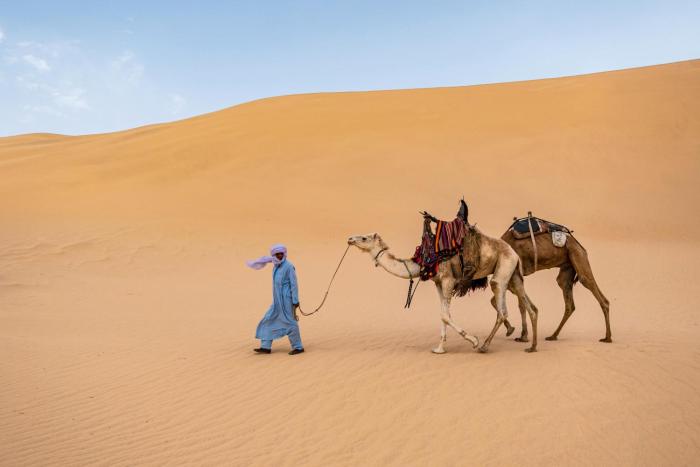 Sahara Unique dunes camp