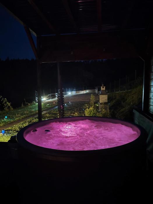 MICHAŁÓWKA - Domek w Górach przy Lesie - Energylandia