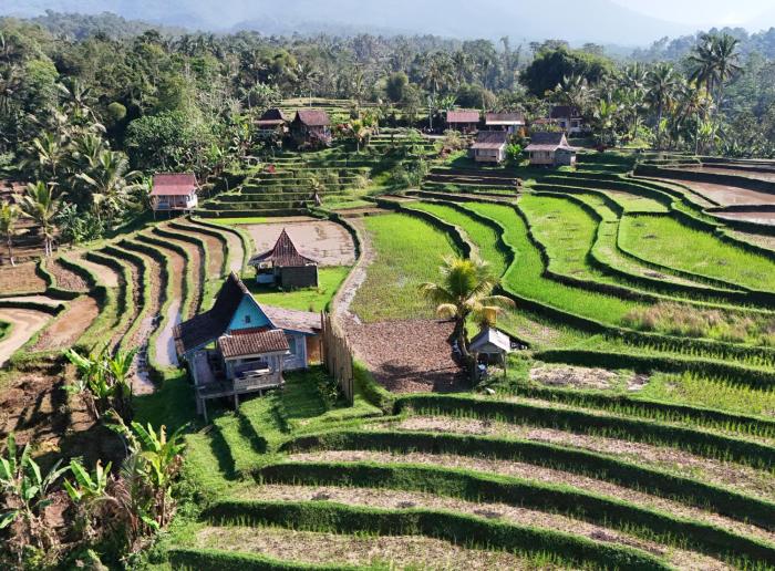 DUme Bendoel Homestay