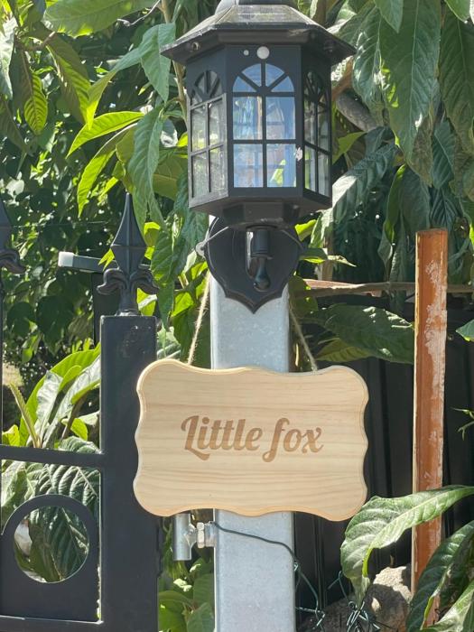 Little fox