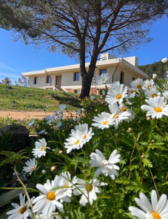 Villa Beatrice