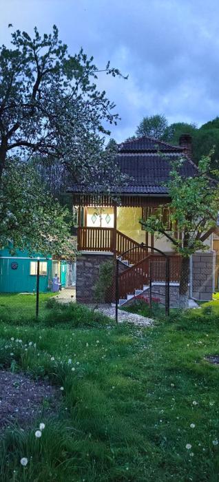 La Umbra Muntilor Traditional House