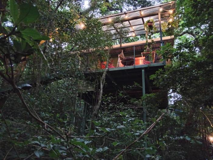 Jungle Living Tree Houses