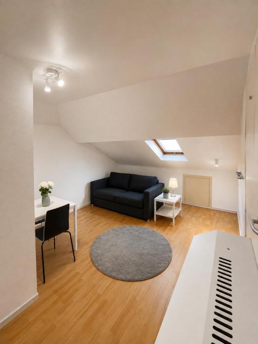 Simple studio near Kirchberg