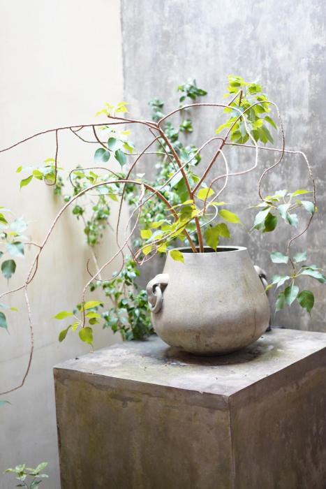 Baranada Ayurvedic Wellness Retreat Center
