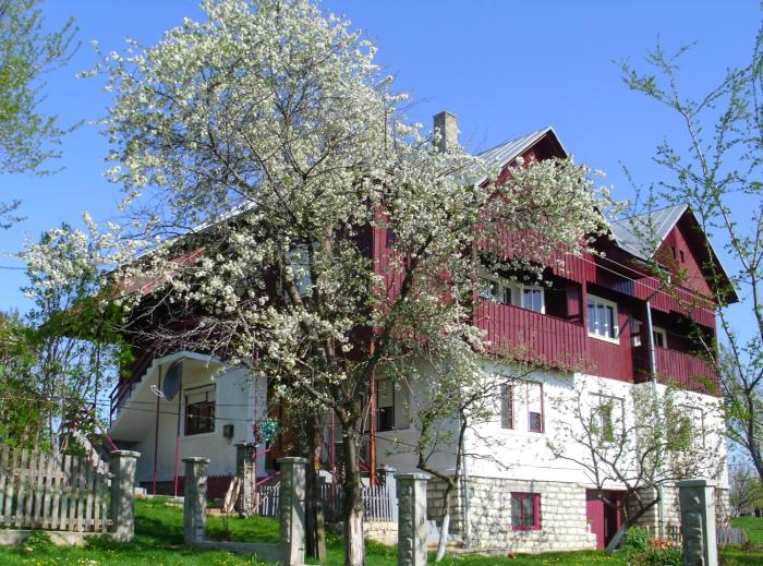 Cabana Codrii Apusenilor - Matis