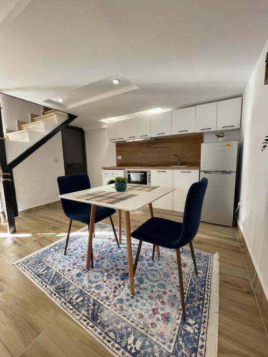 Duplex apartment Tirana