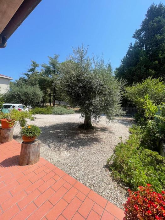 La Corte delle Marche