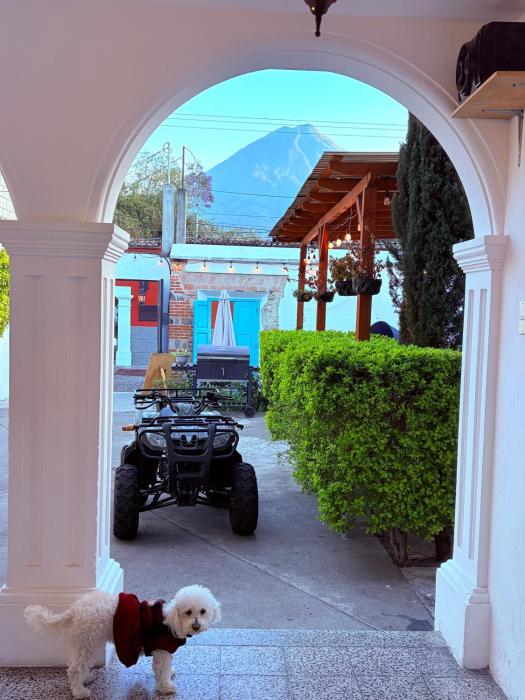 Blue Moon Hostel
