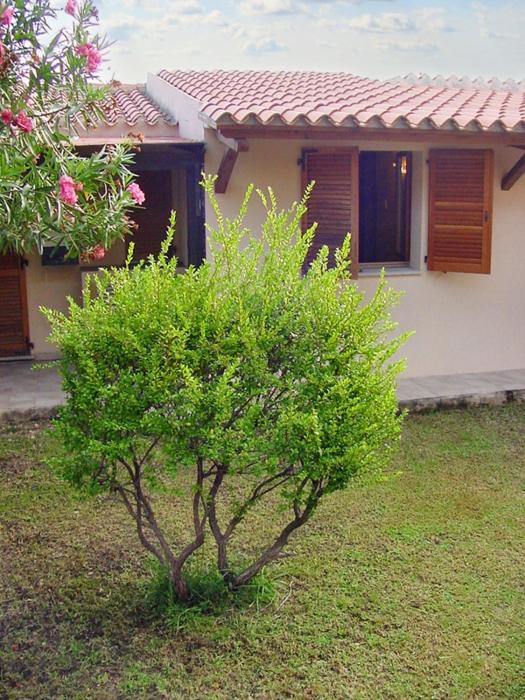 Charming house with terrace & garden - Loiri Porto San Paolo