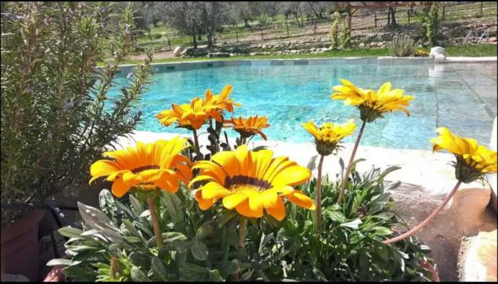 Villa Casaglia 1-apartment With Shared Pool