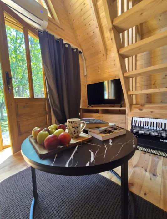 Tiny House 4-Imanje Terzic