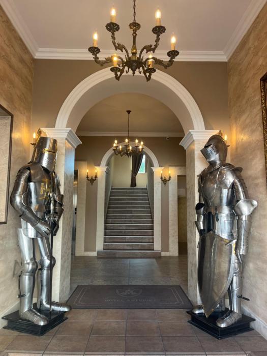 Hotel Antique - free private parking