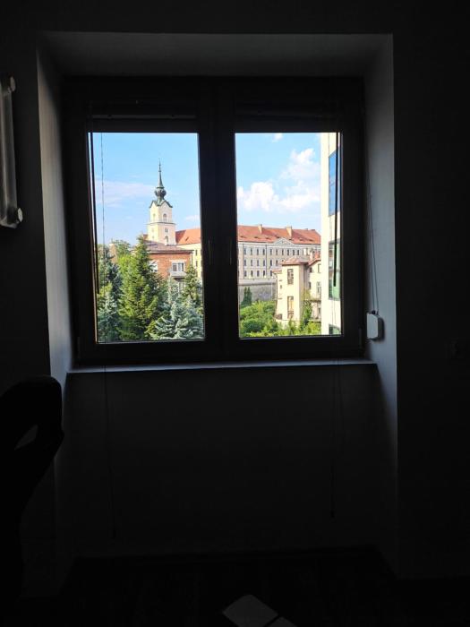 Z widokiem na zamek