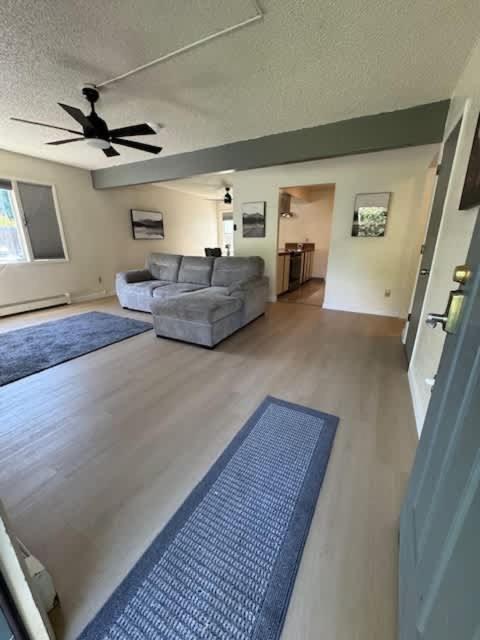 Bright Beautiful 2 Bedroom Suite