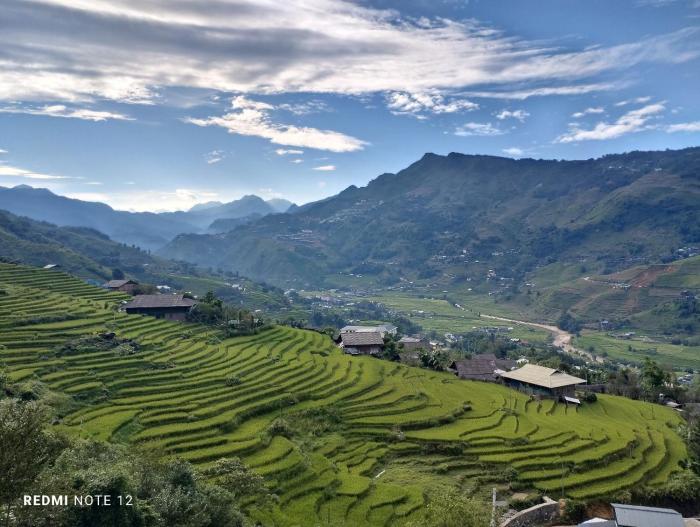 Bamboo Garden Homestay & Coffee