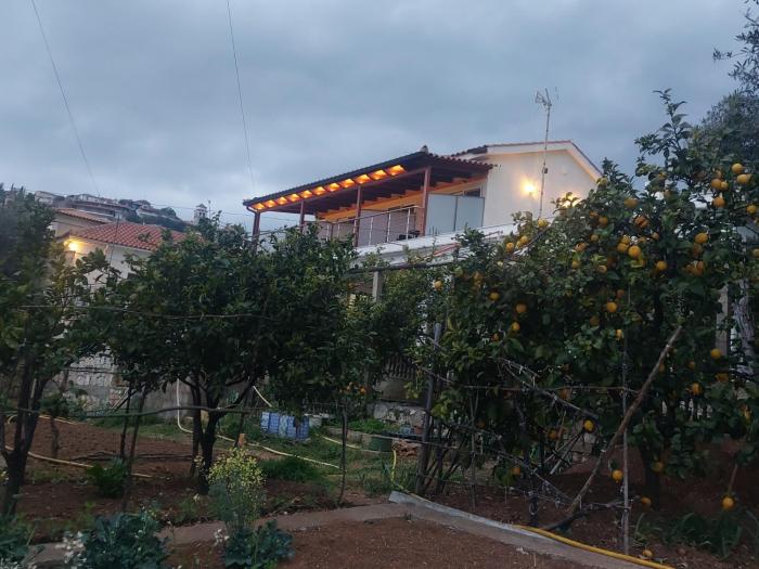 Laertis house