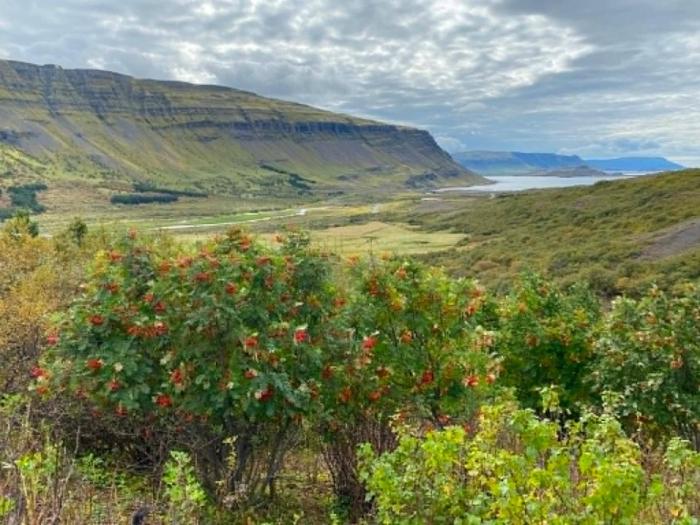 Tranquil Countryside Retreat in Hvalfjordur, Iceland