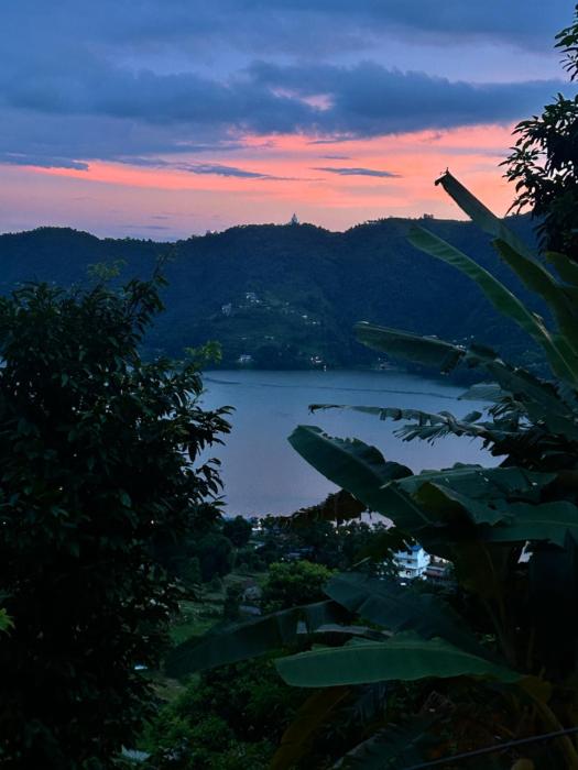 Paradise home