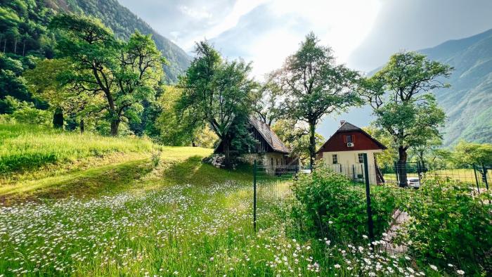 Apartments Mala Korita Soče
