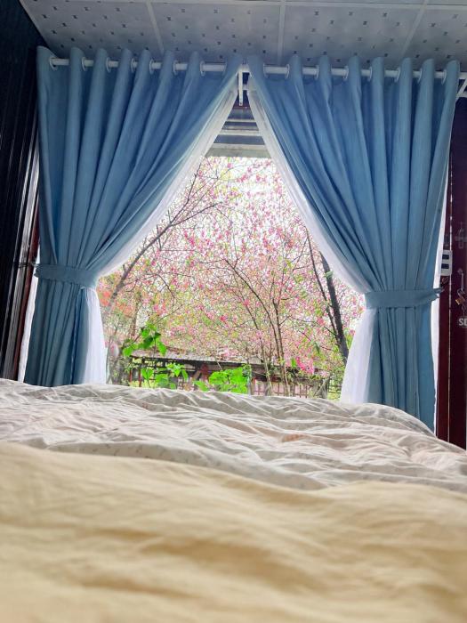 Đồi Hoa Đào cafe & homestay